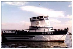 Clipper II