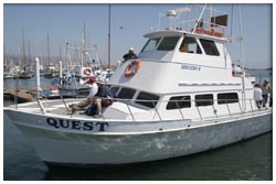 Quest